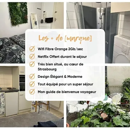 Proche Du Centre-ville شقة ستراسبورغ