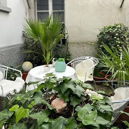 Proche Du Centre-ville